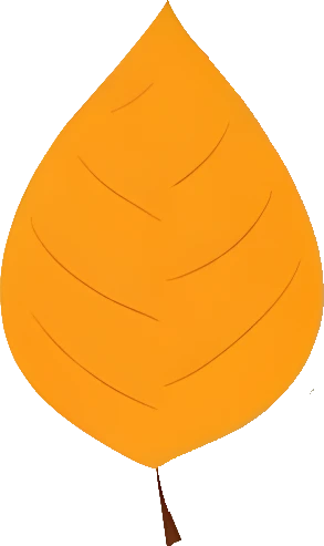 Downloadable Transparent Leaf PNG Image_16.webp